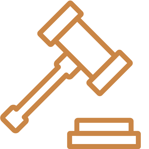 2. Dominio del marco regulatorio aplicable
